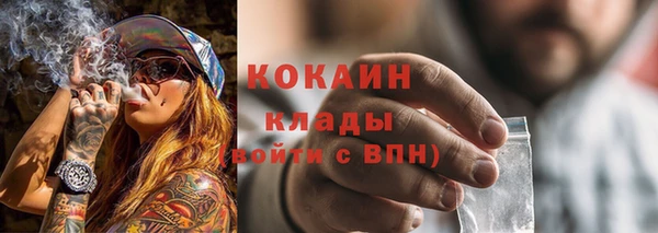амф Новозыбков