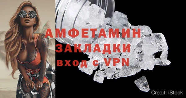 амф Новозыбков