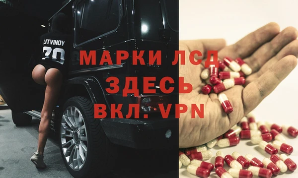 амф Новозыбков