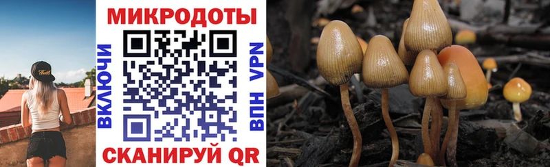 мориарти какой сайт Агидель Псилоцибиновые грибы мицелий