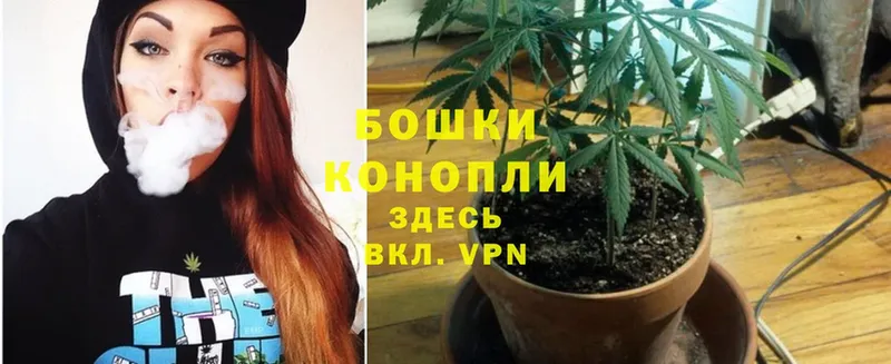 Канабис конопля  Агидель 